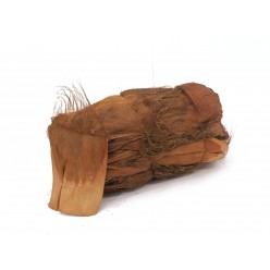 EUROPALMS Coconut-bark, untreated